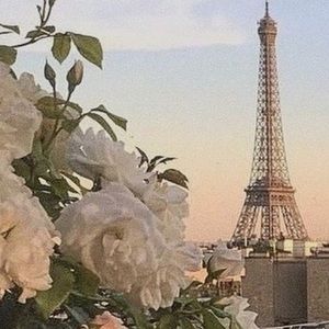 Meet your Posher, Rhiannon